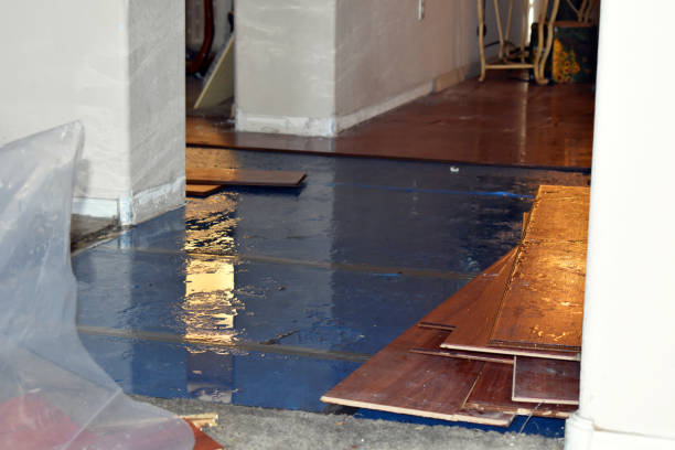 Professional Burst Pipe Cleanup technician working in Clark, NJ
